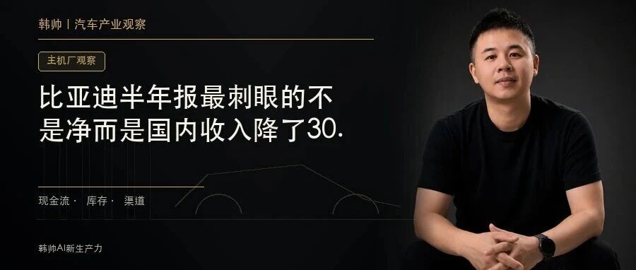 比亚迪半年报最刺眼的不是净利下滑20.54%,而是国内收入降了30.68% 文章封面