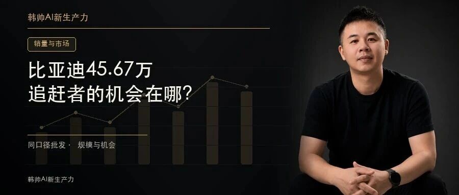 比亚迪45.67万,吉利、奇瑞、零跑合计42.19万:新能源追赶者的机会在哪? 文章封面