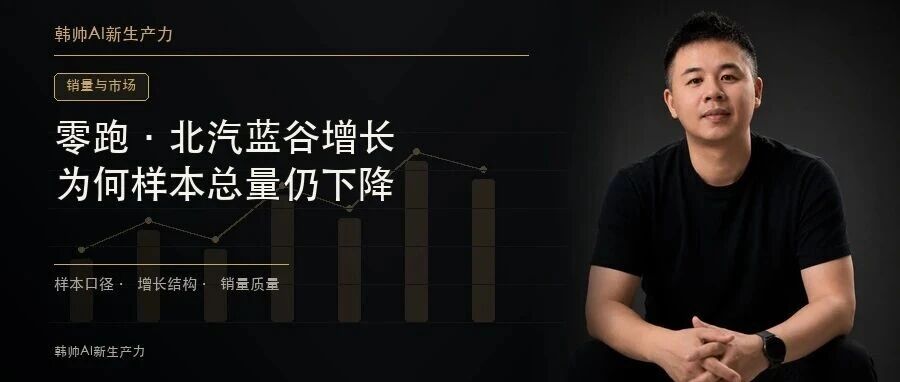 零跑、北汽蓝谷领跑增速,23家上市车企总销量却下降:车市正在怎样分化? 文章封面